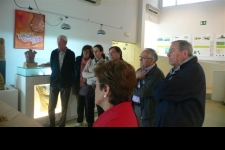 Visita guiada al Camp de les Lloses. Dia Internacional dels Museus